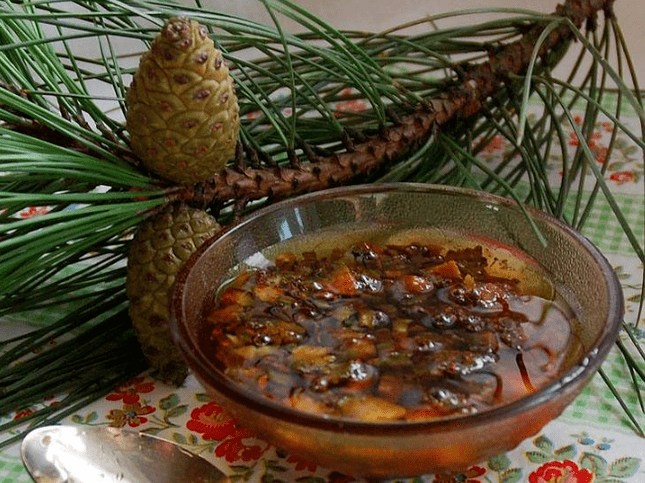 Pine -based decoction